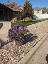 View of spring and summer flowers, placed along the curb of the entire property