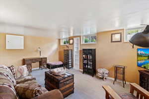 Finished basement family room with carpet flooring