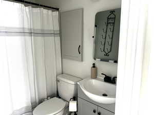 Bathroom with vanity, curtained shower, and toilet