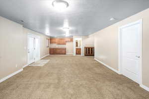 Walk-out Basement