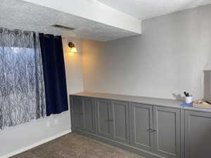 Basement interior space featuring a textured ceiling, carpet floors, visible vents, and a textured wall