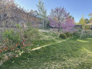 View of back yard facing NNW