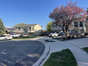 View of street with cul-de-sac curbs and sidewalks