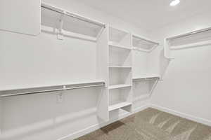 Spacious closet featuring carpet floors