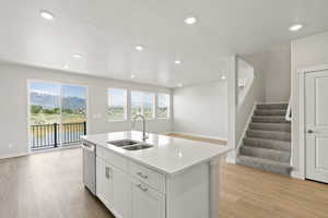 Kitchen with a sink, light wood-style flooring, stainless steel dishwasher, light countertops, and plenty of natural light