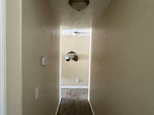 Hall featuring carpet and baseboards