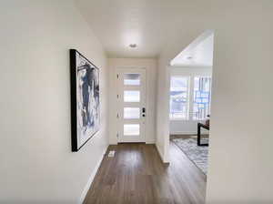 Doorway to outside featuring visible vents, baseboards, and dark wood-style floors