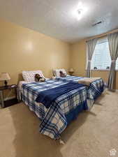 Bedroom featuring light carpet, baseboards, visible vents, and a textured ceiling