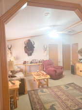 Carpeted living area featuring a textured ceiling.