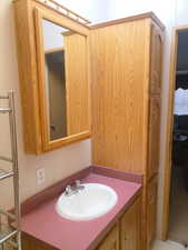2nd full bathroom featuring vanity and linin closet.