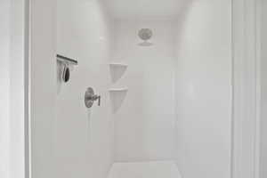 Owner's Suite Bathroom details featuring walk in shower