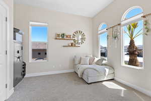Living area with carpet floors and a wealth of natural light