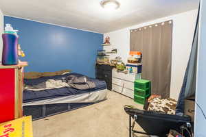 Bedroom with carpet floors