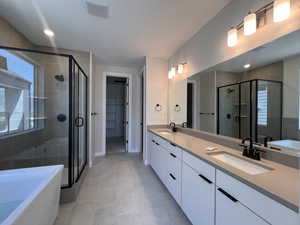 Owner's Bathroom