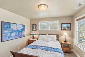 Carpeted bedroom featuring baseboards, multiple windows, and visible vents