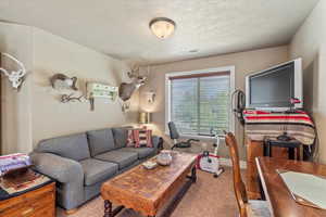 Living area featuring carpet floors, a textured ceiling, baseboards, and visible vents
