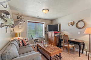 Living area with a textured ceiling, baseboards, visible vents, and light colored carpet