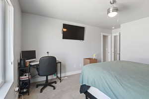 Bedroom featuring baseboards and carpet
