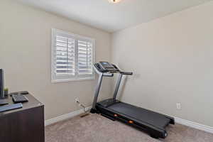 Workout room featuring baseboards, carpet flooring, and visible vents