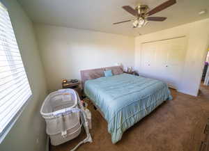 Bedroom with carpet floors, a closet, ceiling fan, and multiple windows