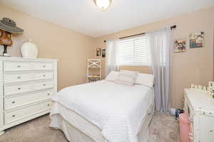 Bedroom featuring light carpet