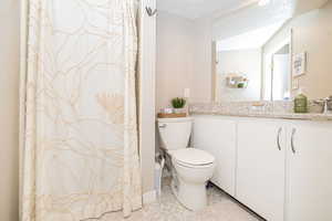 Full bath with toilet, vanity, and curtained shower