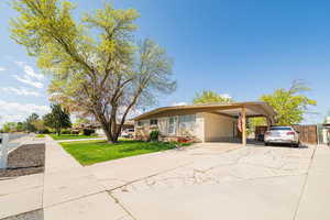View of front of property with fence, a front yard, a carport, and concrete driveway