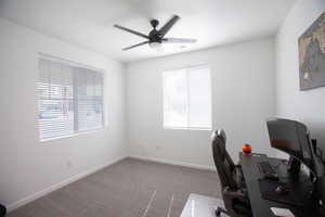 Home office/den