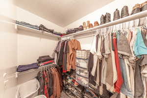 Walk in closet with vaulted ceiling