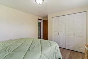 Second bedroom with spacious closet