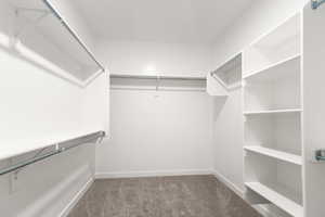 Spacious closet featuring carpet