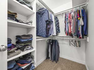 Spacious closet with carpet flooring