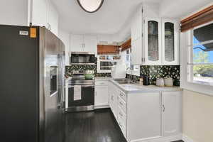 Kitchen with stainless steel appliances, a sink, plenty of natural light, and dark wood-style flooring