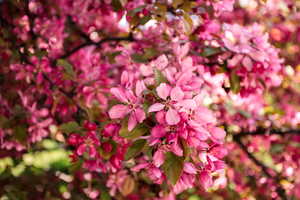 Spring is in the air!