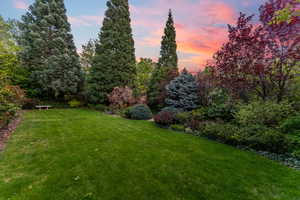 View of yard at dusk