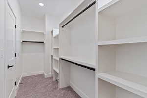 Spacious closet featuring carpet