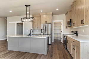 Kitchen featuring light countertops, stainless steel appliances, light brown cabinetry, a sink, and an island with sink