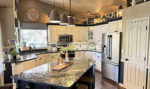 Kitchen featuring a sink, backsplash, lofted ceiling, dark wood-type flooring, and appliances with stainless steel finishes