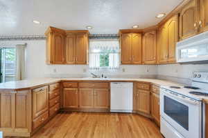Kitchen featuring a peninsula, a healthy amount of sunlight, a sink, and white appliances