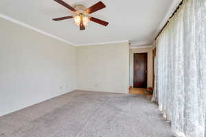 Carpeted spare room featuring a ceiling fan and ornamental molding