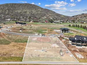 Aerial view with a mountain view