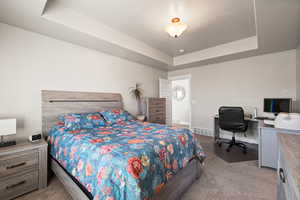 Bedroom featuring visible vents, baseboards, a tray ceiling, and carpet floors