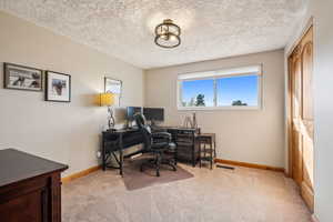 Office area featuring light carpet, a textured ceiling, visible vents, and baseboards