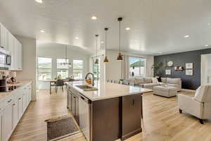 Kitchen with light wood-style flooring, a sink, recessed lighting, and appliances with stainless steel finishes