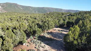Property view of mountains with a forest view