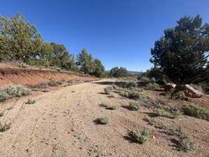 View of local wilderness