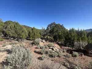 View of nature