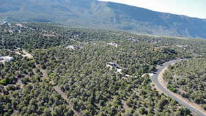 Aerial view with a forest view and a mountain view