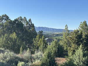 View of mountain feature featuring a wooded view