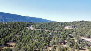 Aerial view featuring a view of trees and a mountain view